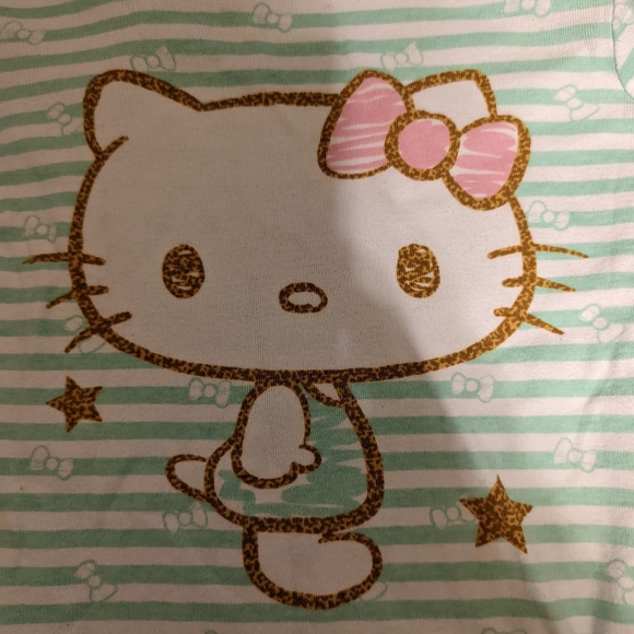 Sanrio Other - Long sleeve top